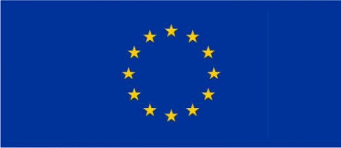 European Union Partners Logo
