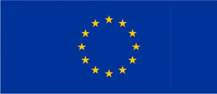 European Union Partners Logo